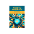 Týmová supervize