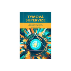 Týmová supervize