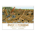 Život v podzemí: Tunelem do světa zvířat