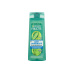 Garnier Fructis