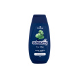 Schwarzkopf Schauma Men
