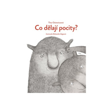 Co dělají pocity? Co dělají pocity?