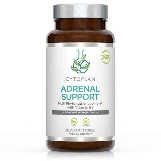 Cytoplan Adrenal support komplex pro nadledviny, 60 vegan kapslí>