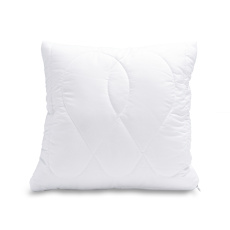 Polštářek Aloe Vera 40x40cm 250g se zipem Polštářek Aloe Vera 40x40cm 250g se zipem