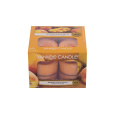 Yankee Candle Mango Peach Salsa