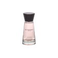 Burberry Touch For Women