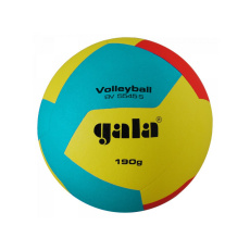 Míč volejbal Gala BV 5545 S