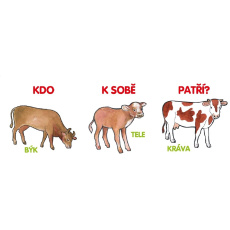 Kdo k sobě patří? Kdo k sobě patří?