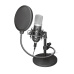 mikrofon TRUST GXT 252 Emita Streaming Microphone