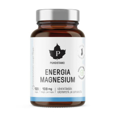 Energia Magnesium 120 kapslí