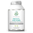 METHYL FAKTORY - B1 + Betain + B2 + B6 + Kyselina listová L-Metylfolát vápenatý + Vitamín B12 a Zinek, 60 kapslí>