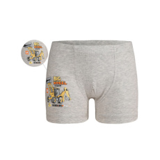 Dětské boxerky DET6 BAGR sv.šedá Dětské boxerky DET6 BAGR sv.šedá