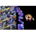 Vánoční stuha s LED světýlky 100cm 10LED - Zlatá stuha/barevná