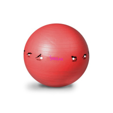 Gymnastický míč SHULAN YOGA BALL 65 cm