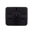 Mercedes-Benz Sign, Tester