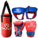 Boxing SET Spartan dětský 1138