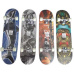 Skateboard 31X8 CN DECK ABEC3 Spartan