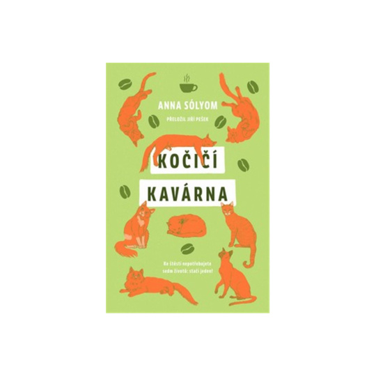 Kočičí kavárna