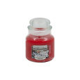 svíčka vonná sklo REINDEER TREATS 104g (hoří 40hod)