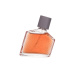 Bruno Banani Magnetic Man