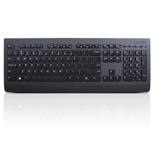 Lenovo Professional Wireless Keyboard and Mouse Combo - Czech