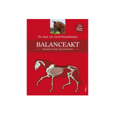 Balanceakt Balanceakt