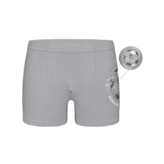 Dětské boxerky DET6 MÍČ 2 sv.šedá Dětské boxerky DET6 MÍČ 2 sv.šedá