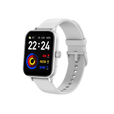 CARNEO Versa HR+/Silver/Sport Band/White CARNEO Versa HR+/Silver/Sport Band/White