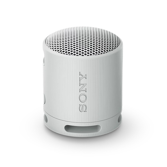 Sony SRS-XB100/Mono/Šedá