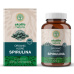 Algae Spirulina Organic 240 tablet (Bio řasa spirullina)